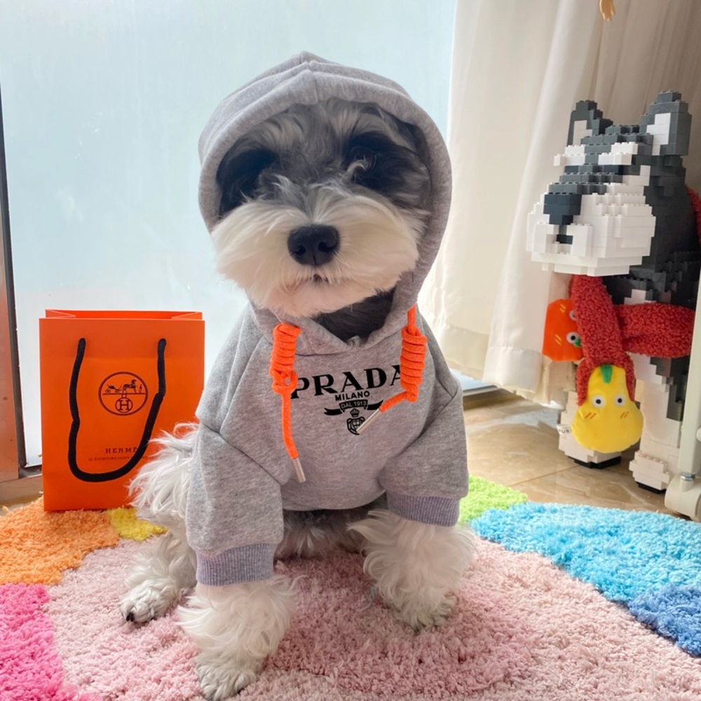 Gray Pradog sweater